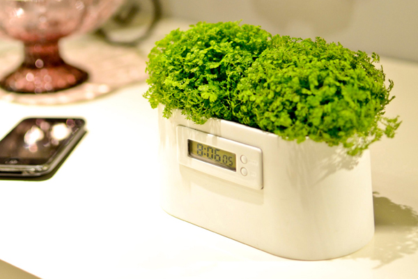植物發電系統（二）