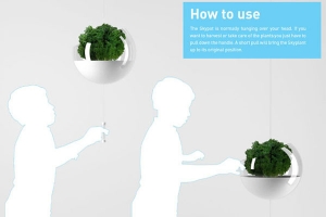 陽臺上懸浮的綠色植物(四) 陽臺上懸浮的綠色植物(四)