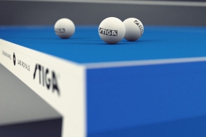 Waldner 乒乓球桌 Waldner 乒乓球桌