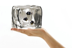 Ice Fishing 冰凍魚缸 Ice Fishing 冰凍魚缸