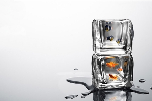 Ice Fishing 冰凍魚缸(二) Ice Fishing 冰凍魚缸(二)