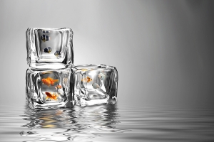 Ice Fishing 冰凍魚缸(三) Ice Fishing 冰凍魚缸(三)