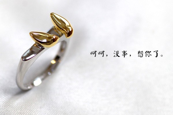 深情對(duì)唱小情歌情侶戒指(四)