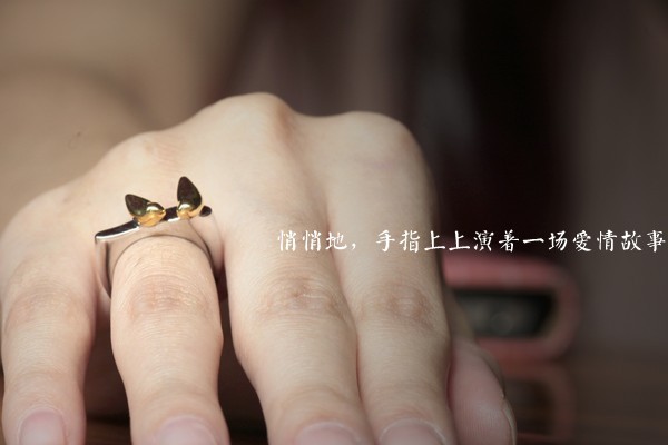 深情對(duì)唱小情歌情侶戒指(五)
