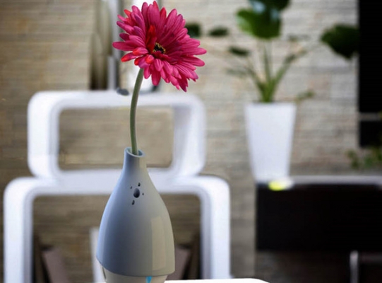 玉凈瓶?jī)艋諝馄鳎ㄈ? src= 玉凈瓶?jī)艋諝馄鳎ㄈ? width=