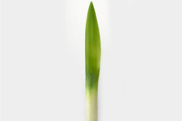 超萌的果蔬餐具(六) 超萌的果蔬餐具(六)