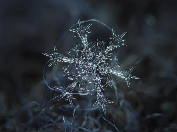 絕美的微距雪花（三）