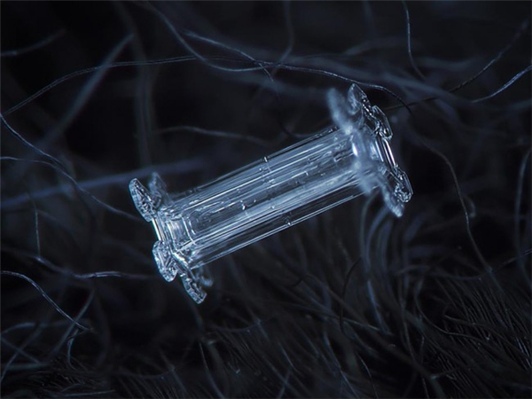 絕美的微距雪花（五）