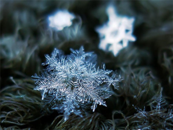 絕美的微距雪花（十三）
