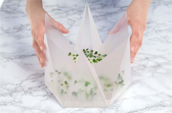 室內(nèi)折疊微型花園（五）