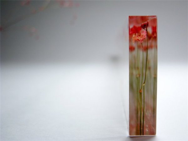 充滿詩意的花園尺（二）