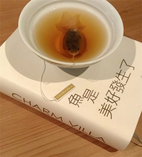 很有意思的金魚茶包(七) 很有意思的金魚茶包(七)