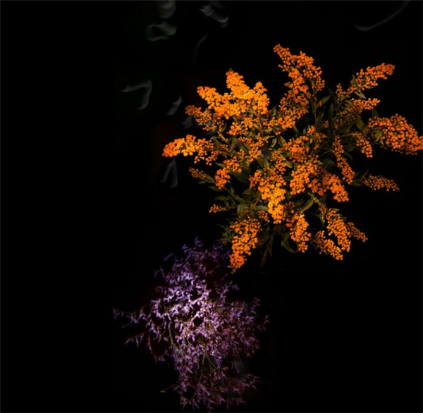 美膩的花瓣煙花（六）