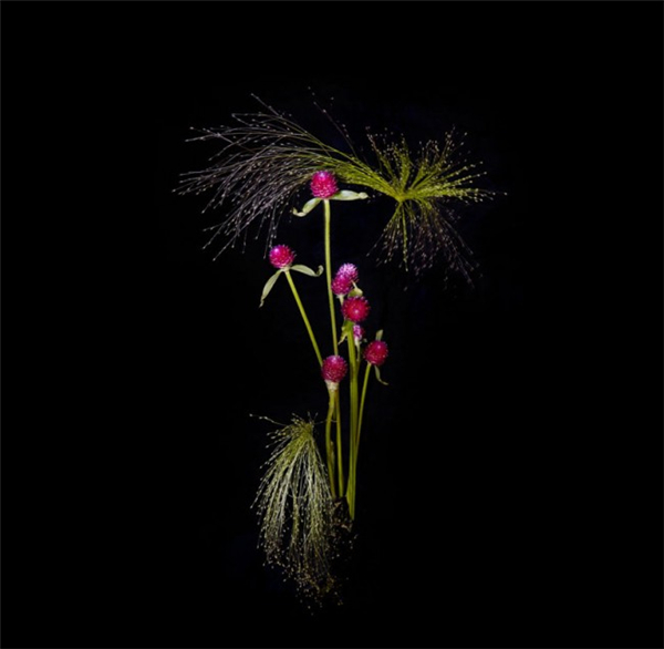 美膩的花瓣煙花（十）