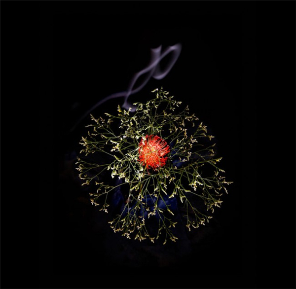 美膩的花瓣煙花（十二）