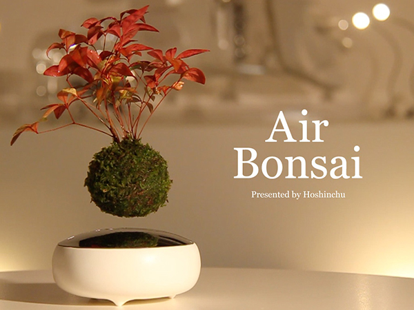 Air Bonsa 磁懸浮盆栽（五）