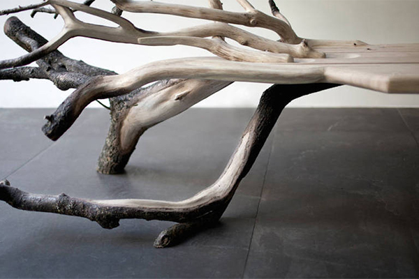 Fallen Tree 樹狀長椅（四）