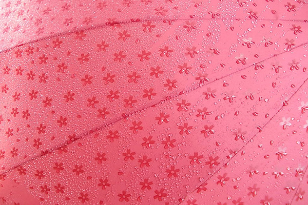 魔法雨傘