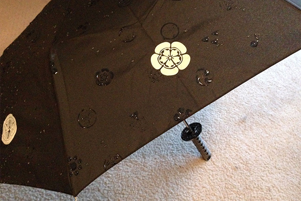 魔法雨傘（二）