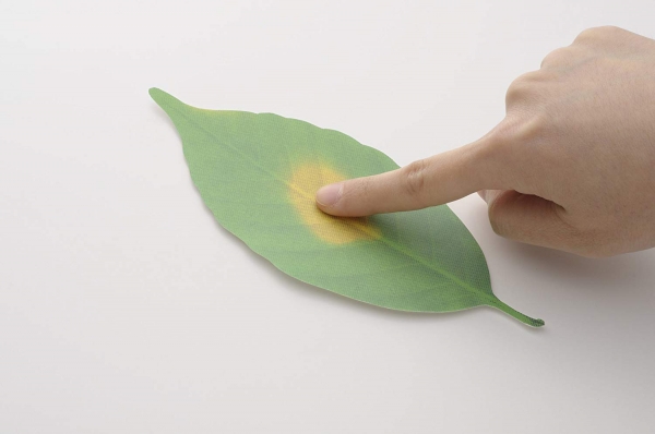 Leaf Thermometer 溫度計