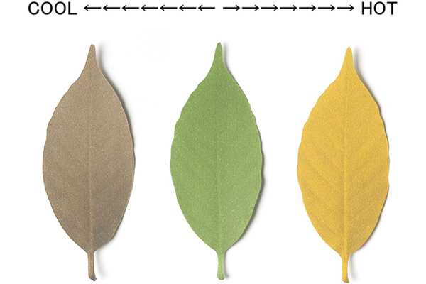 Leaf Thermometer 溫度計(三)